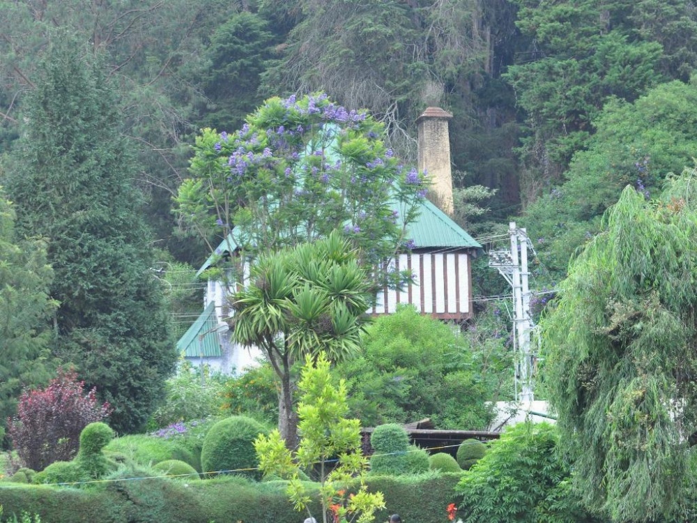British Cliff Club Resort